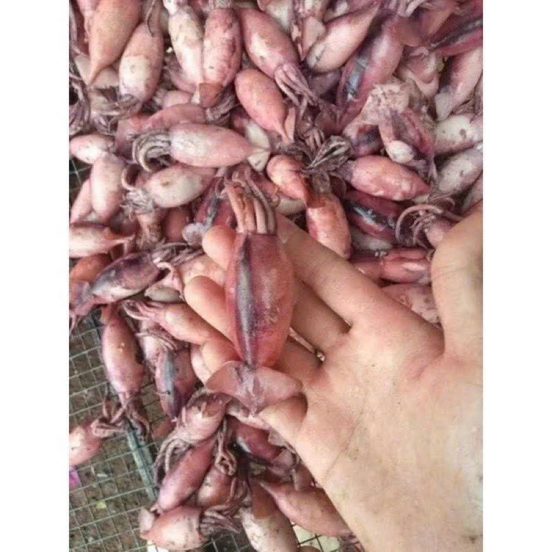 Mực sim hấp