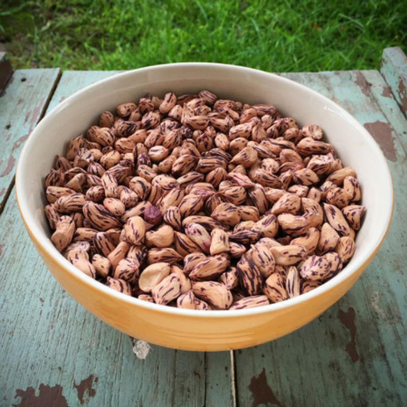 Hạt Giống Lạc Đầy Màu Sắc Luner - 10Gram