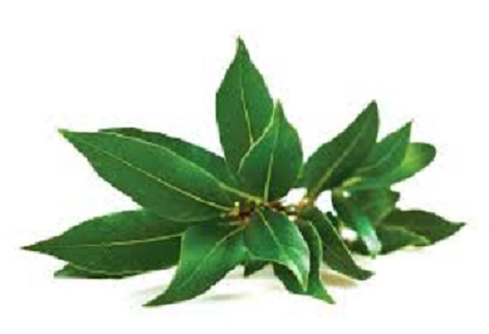 500g Lá nguyệt quế ( lá thơm ) làm gia vị