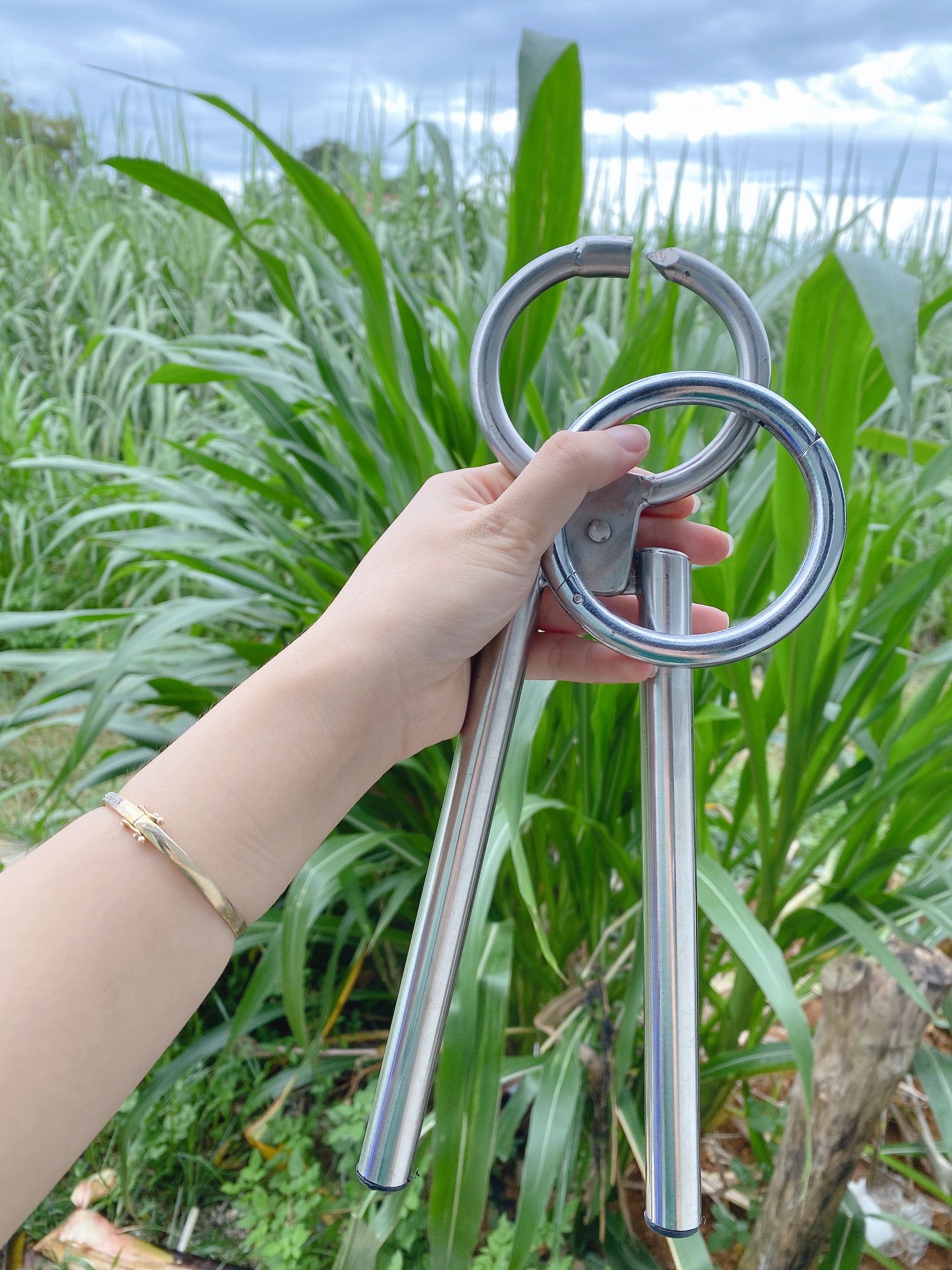 Kìm tạo lỗ, bấm lỗ mũi trâu bò