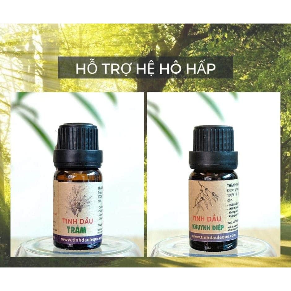 Tinh dầu tràm gió nguyên chất Lê quế 10ml