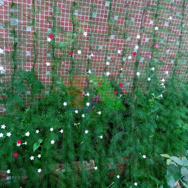 Mesh Truss vines, mesh Truss tree Ollie net, mesh Truss climbing 0.9 / 1.8 / 3.6 m