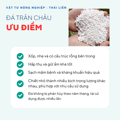Đá perlite (100g) - Đá trân châu giàu khoáng chất