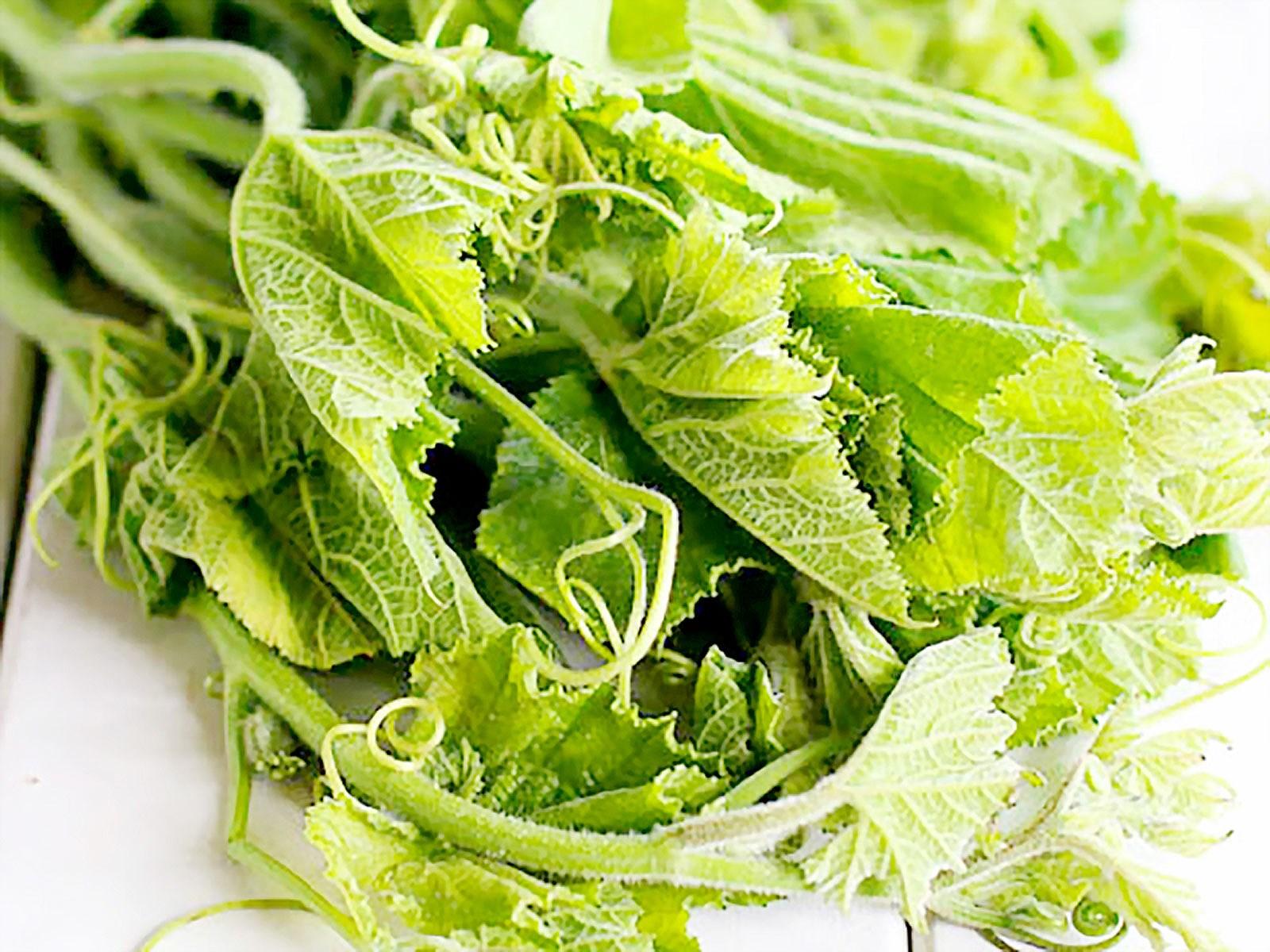 [HCM]Gói 10g hạt giống bí ngọn siêu đọt