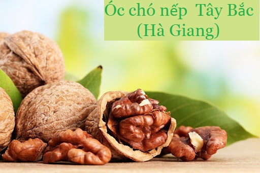 Nhân hạt óc chó nếp tươi Hà Giang 250g