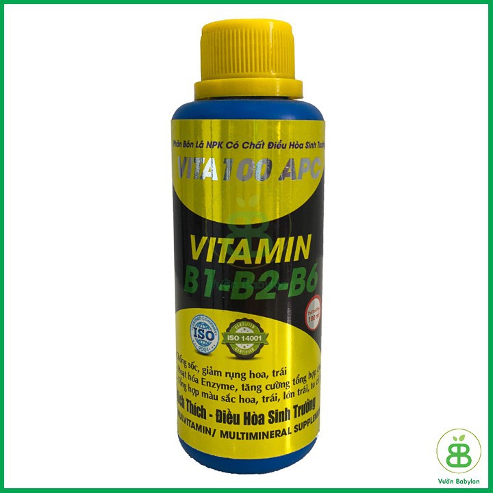 Phân Bón Lá Vitamin B1-B2-B6 VITA100 APC Chai 100ML