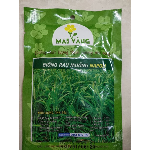 [ Gói 50g] Hạt giống Rau muống cực dễ trồng