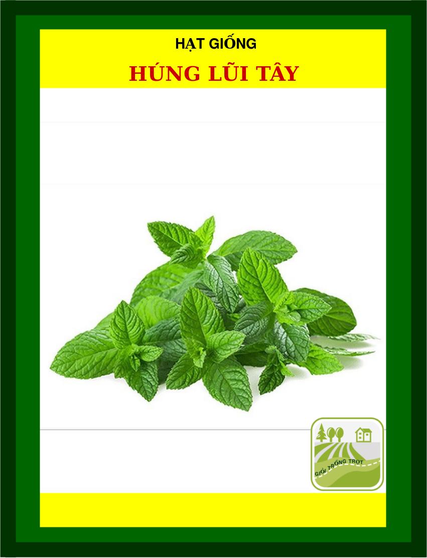 Hạt Giống Rau Húng Lũi Tây - 3090 Hạt
