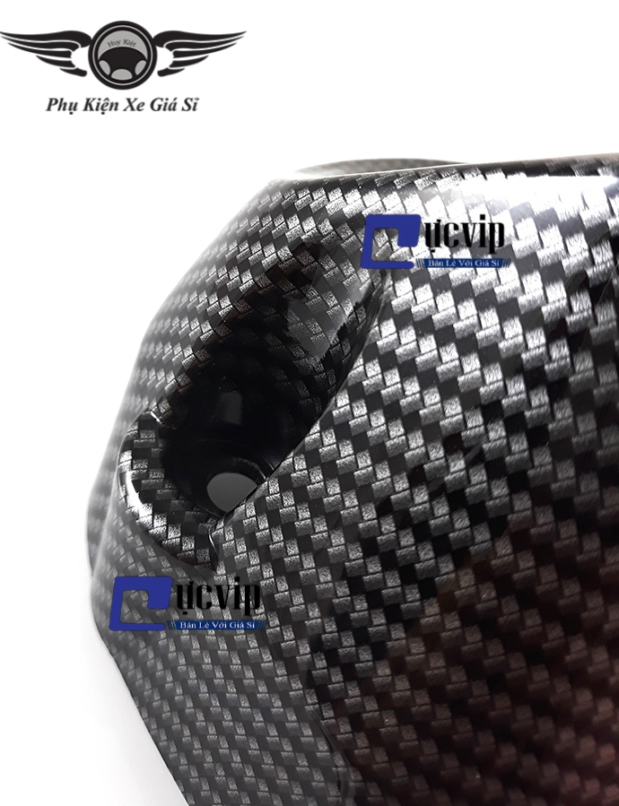 Chụp Đích Pô Carbon Exciter 150 MS1485