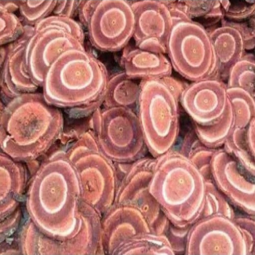 Cây cỏ máu (kê huyết đằng)