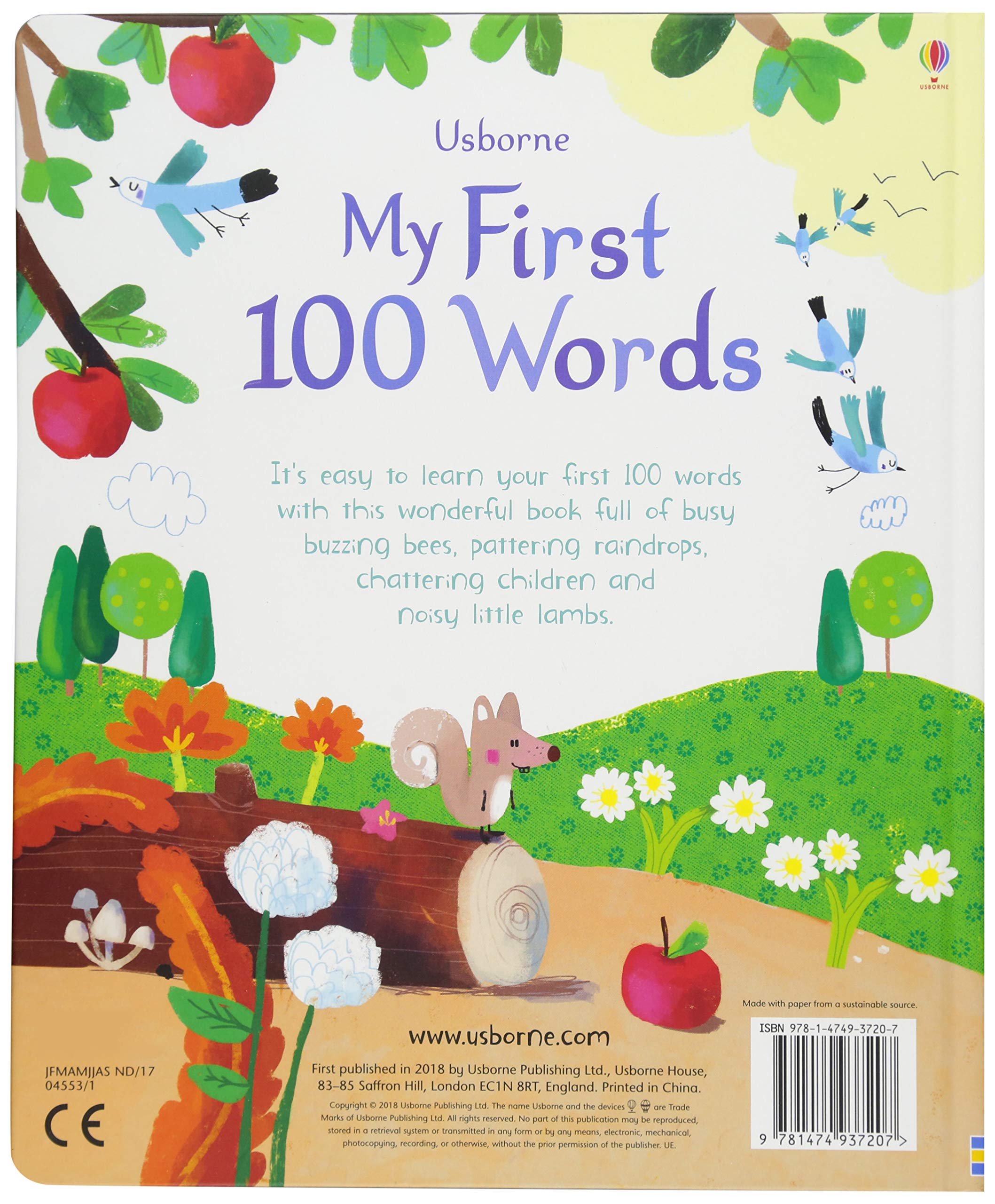 Sách Usborne  My First 100 Words - Big Books (Board book)