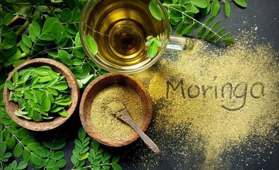 [HCM]Dầu chùm ngây (MORINGA) nguyên chất 100ml OKING