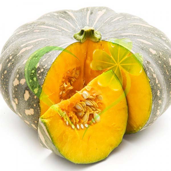 Hạt giống bí đỏ tròn - gói 2 gram