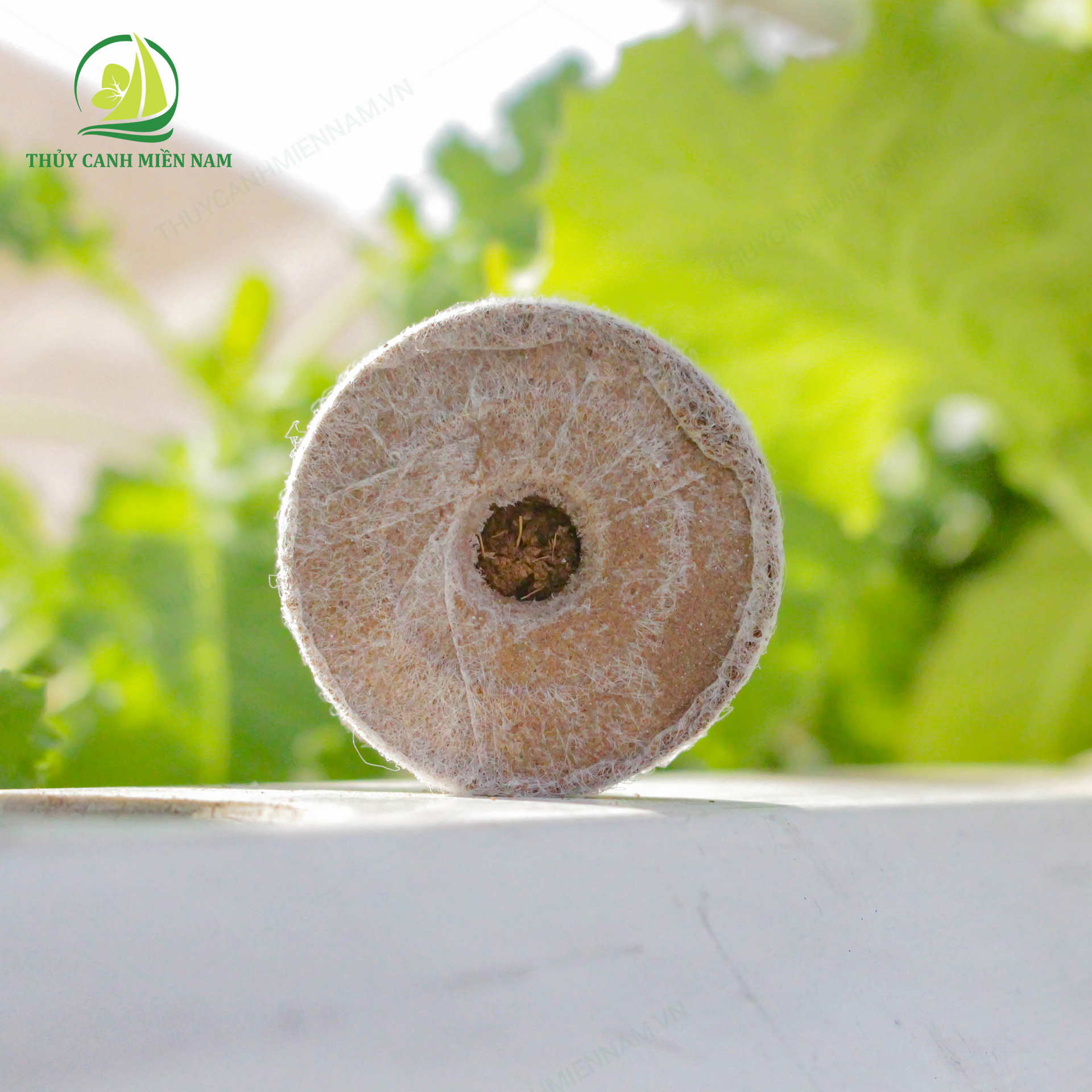 [COMBO GIÁ HỜI] Combo dụng cụ trồng rau thủy canh 6 món