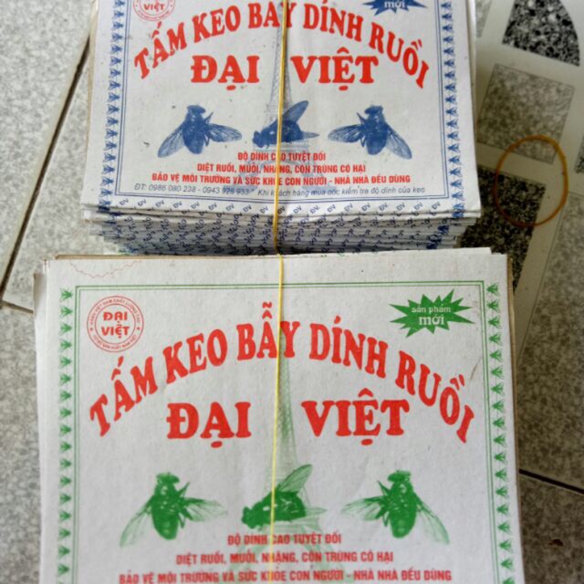 Miếng dán Ruồi Siêu Dính