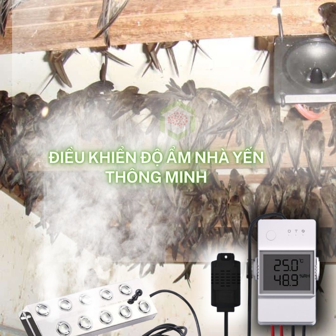 Vỉ phun sương siêu âm 10 mắt phun
