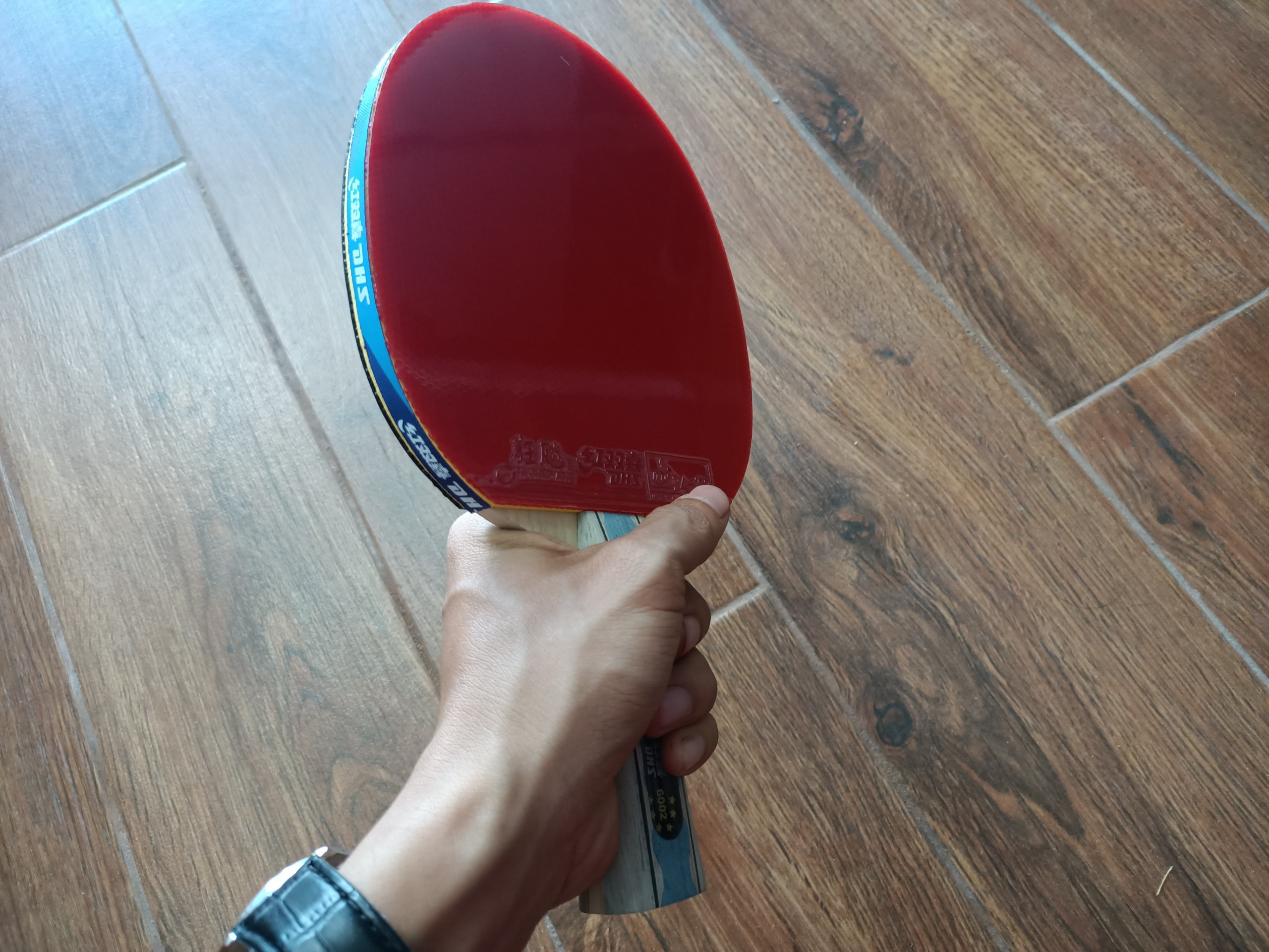 Vợt bóng bàn DHS-6002
