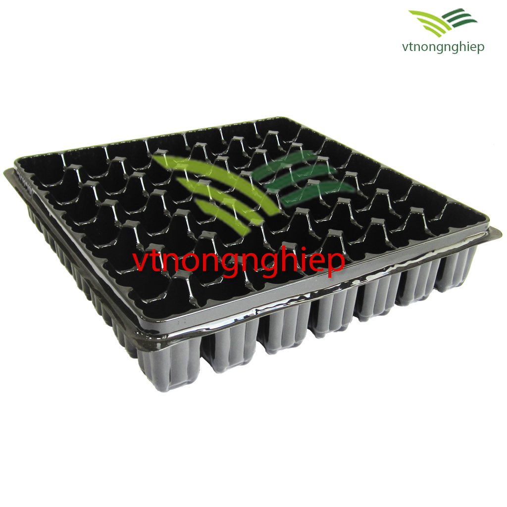 5 Khay nhựa ươm cây 49 lỗ ươm
