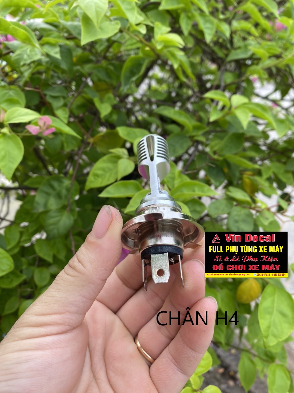 Đèn pha led OSRAM 12V cho xe máy( CHỌN CHÂN PHÍ DƯỚI)