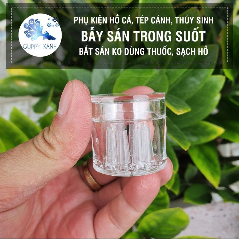 Bẫy Giun Sán Acrylic 8 Lỗ Planaria Trap