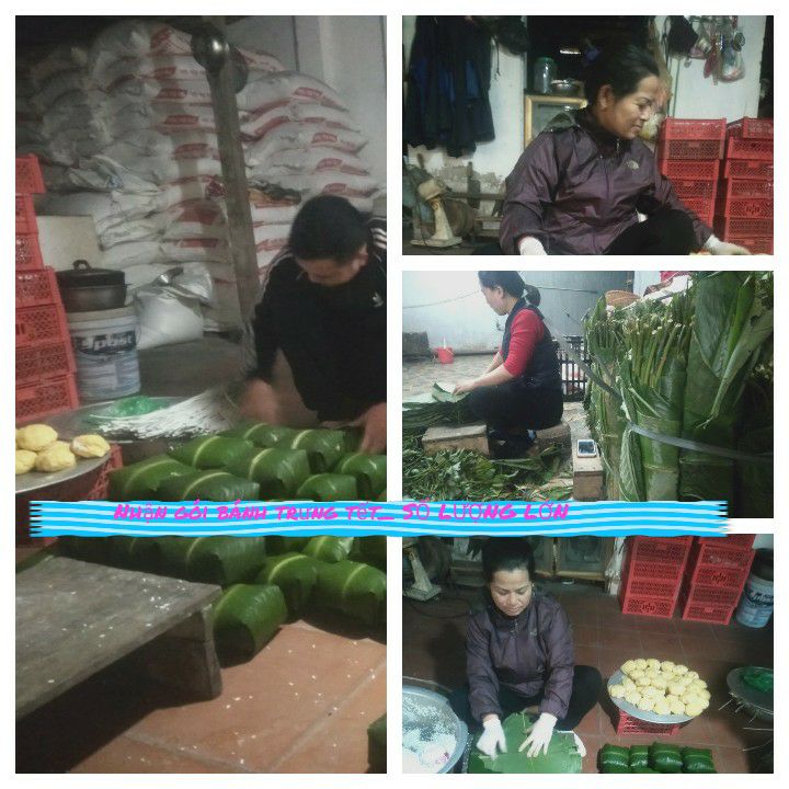 Bánh Chưng Gạo lứt đen