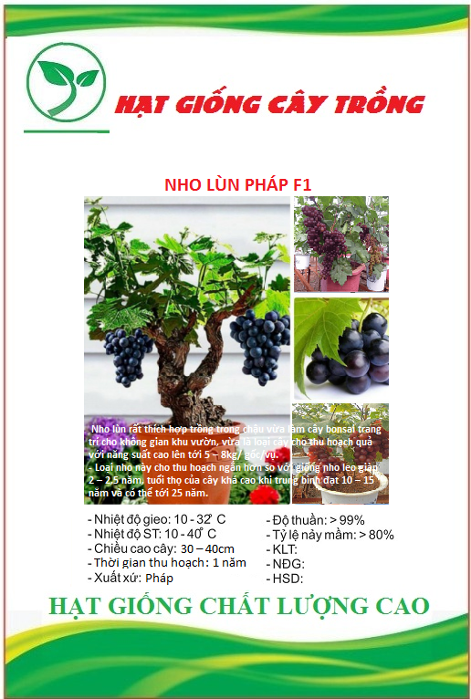 Hạt giống nho lùn pháp ct302 - gói 10 hạt
