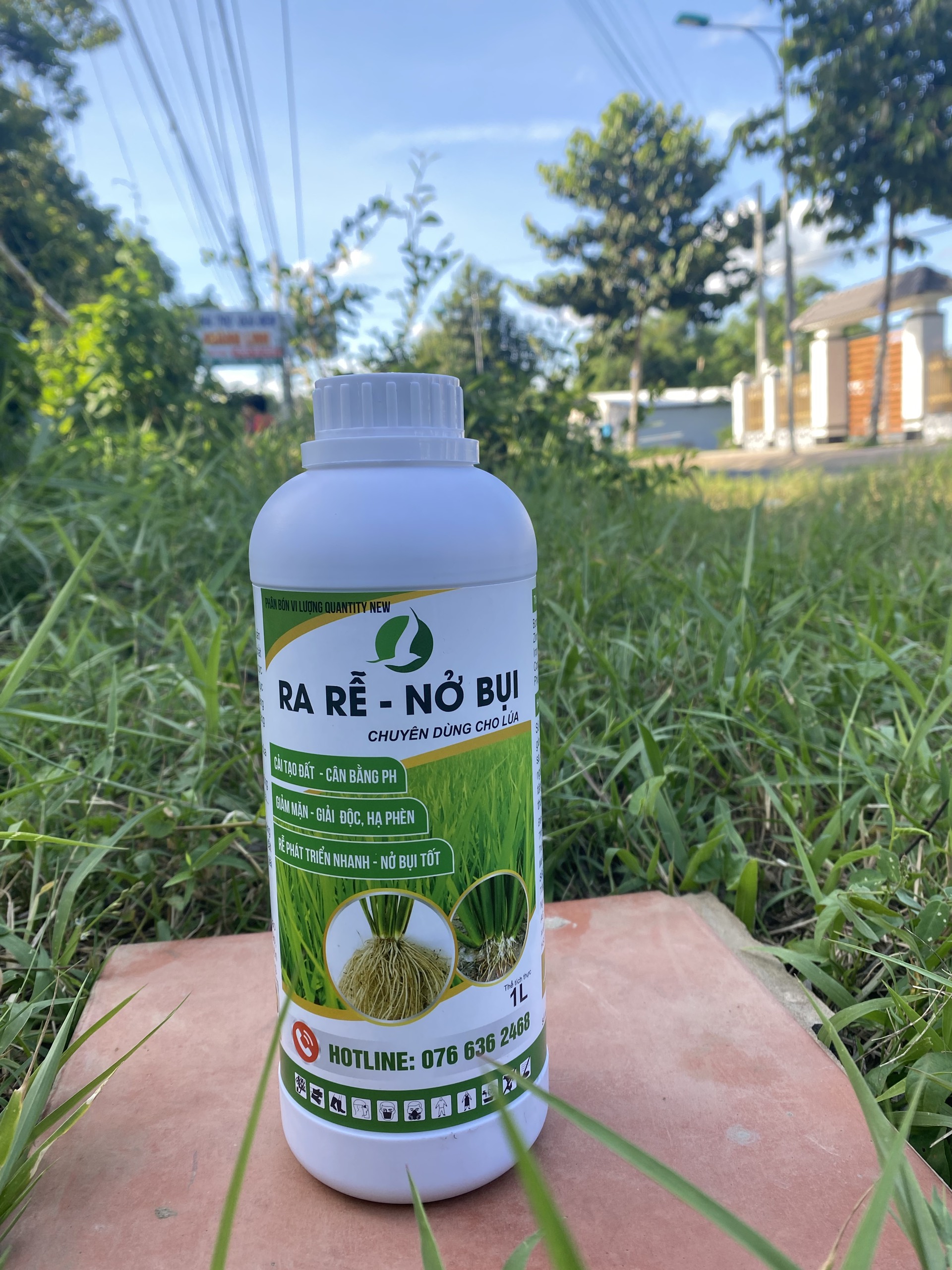 RA RỄ NỞ BỤI ( Phân bón chuyên lúa 1 lít)