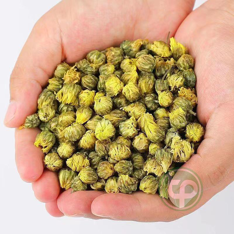 [HOT] Trà nụ hoa cúc hảo hạng 200g - Thảo Dược Tấn Phát