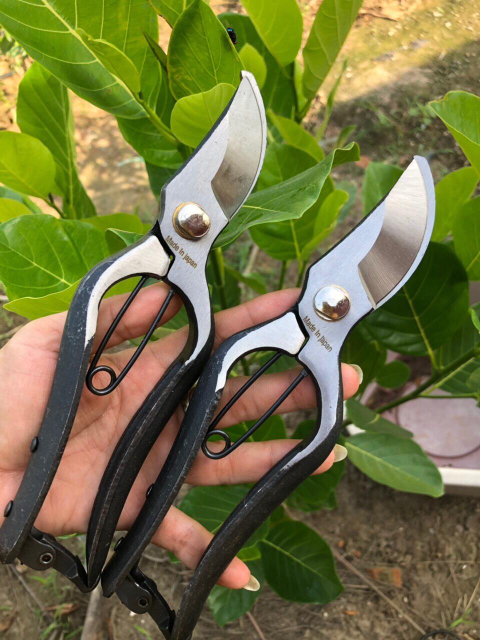 Kéo đúc cắt cành Nhật Bản cao cấp K240