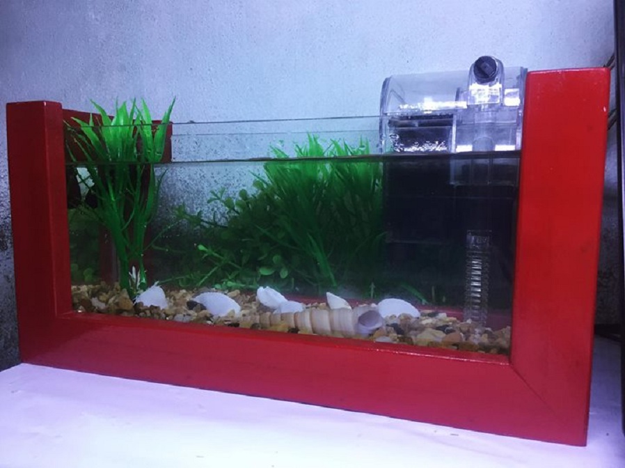 Bể cá mini khung gỗ màu đỏ