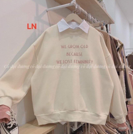 Áo nỉ bo We grow LN11