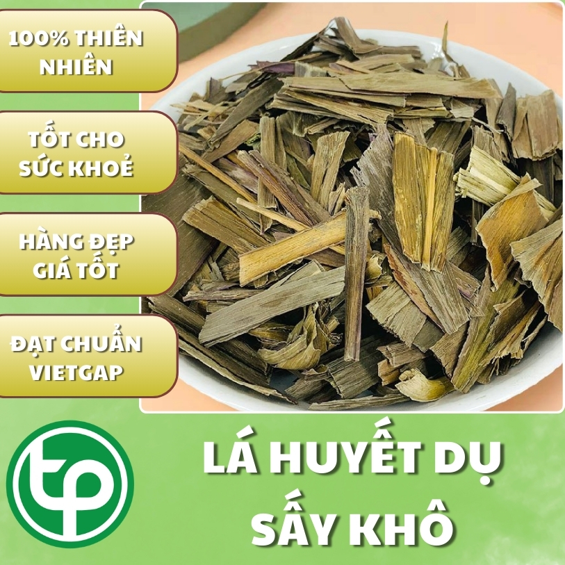 Cây huyết dụ túi lớn loại 1kg - Thảo Dược Tấn Phát - Hàng mới về