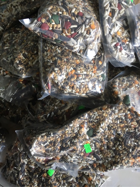 Thức ăn dành cho Gerbil Fat Tail (Chuột đuôi mập)