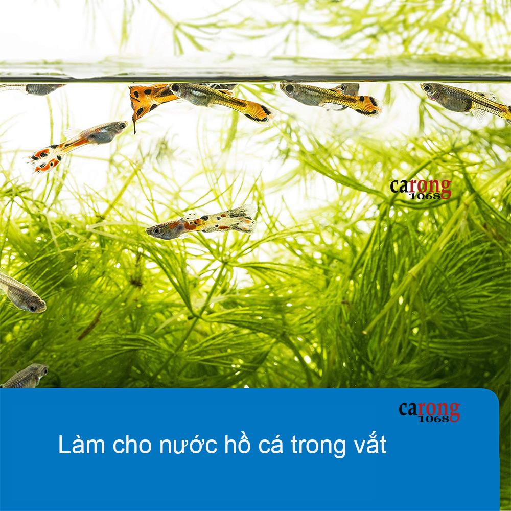 Kiểm tra nồng độ nitrit trong nước hồ cá API Nitrite NO2 Test Kit kiểm tra nitrit trong nước