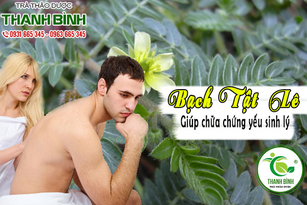 Bạch Tật Lê Khô 500G - Đông Y Thanh Bình
