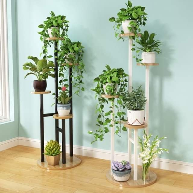 Kệ trang trí tiểu cảnh mini trong nhà