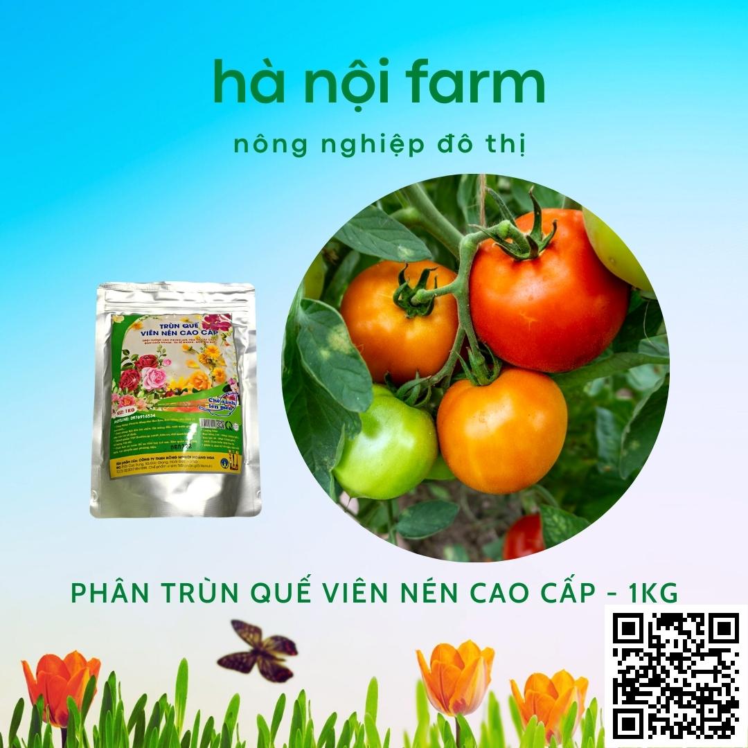 phân trùn quế viên nén cao cấp - gói 1kg
