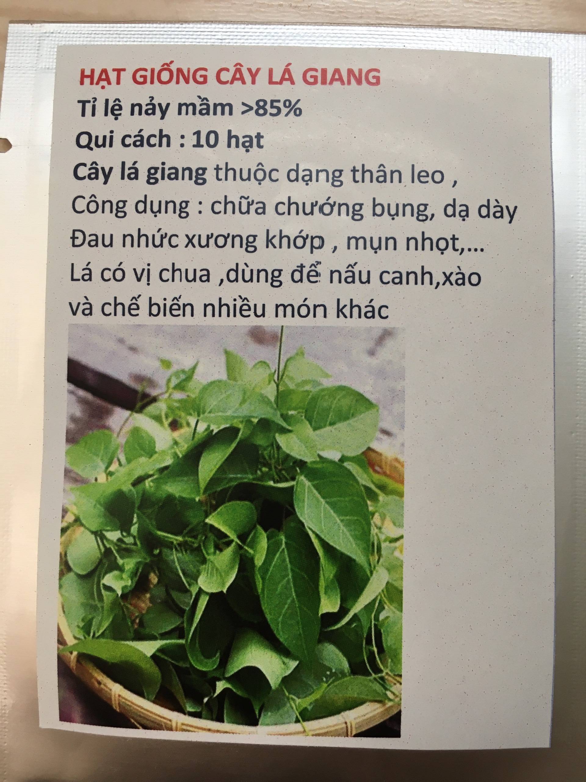 Hạt giống cây lá giang