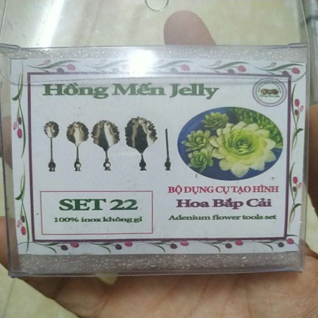 Dụng Cụ Làm Thạch 3D Bộ 5 Kim Các Hoa Hot Nhất