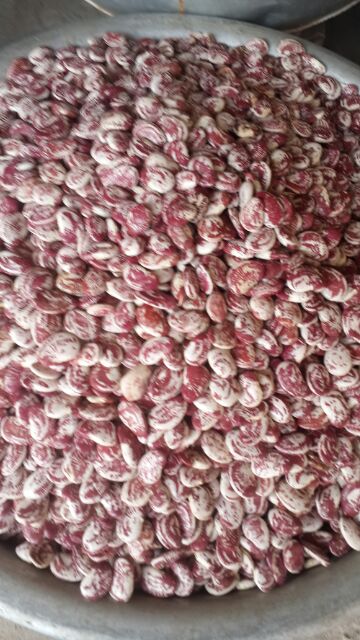 đậu ngự khô 500g