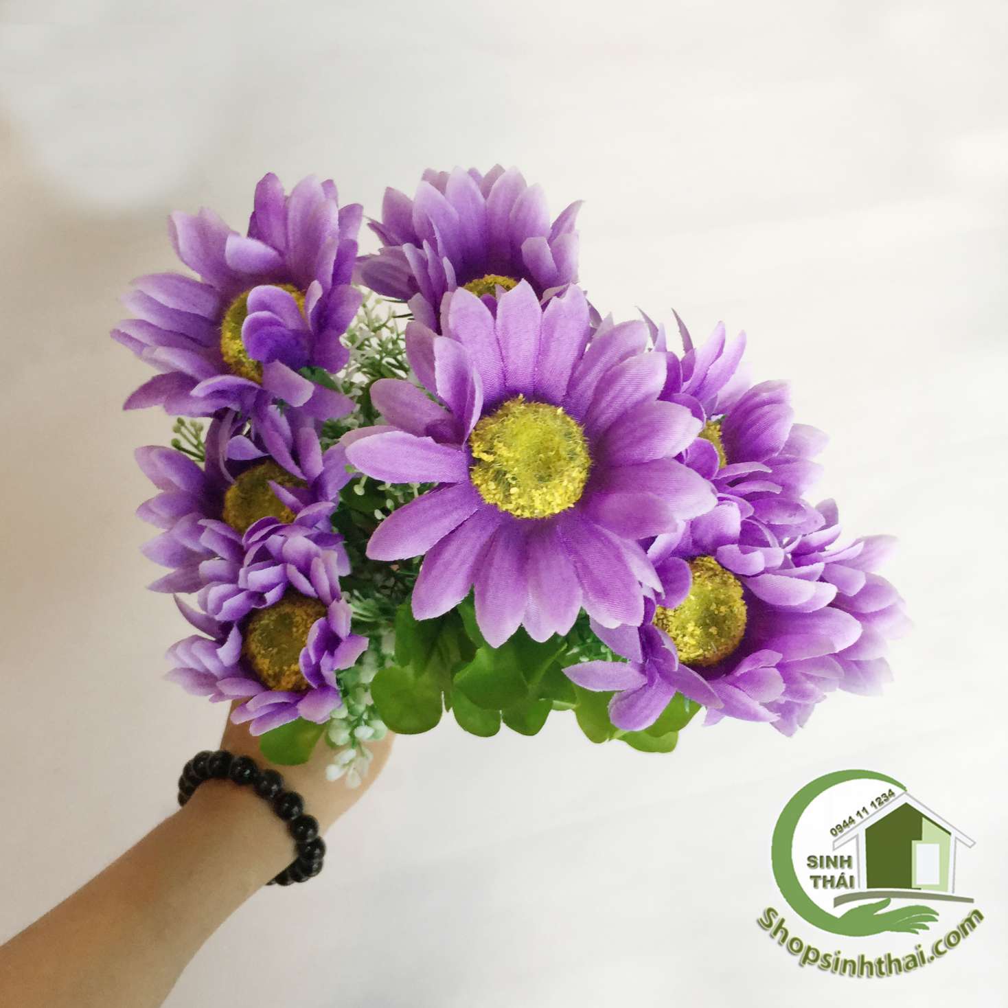 [HCM]Bụi hoa cúc thạch thảo - bụi cao 38cm - chọn màu