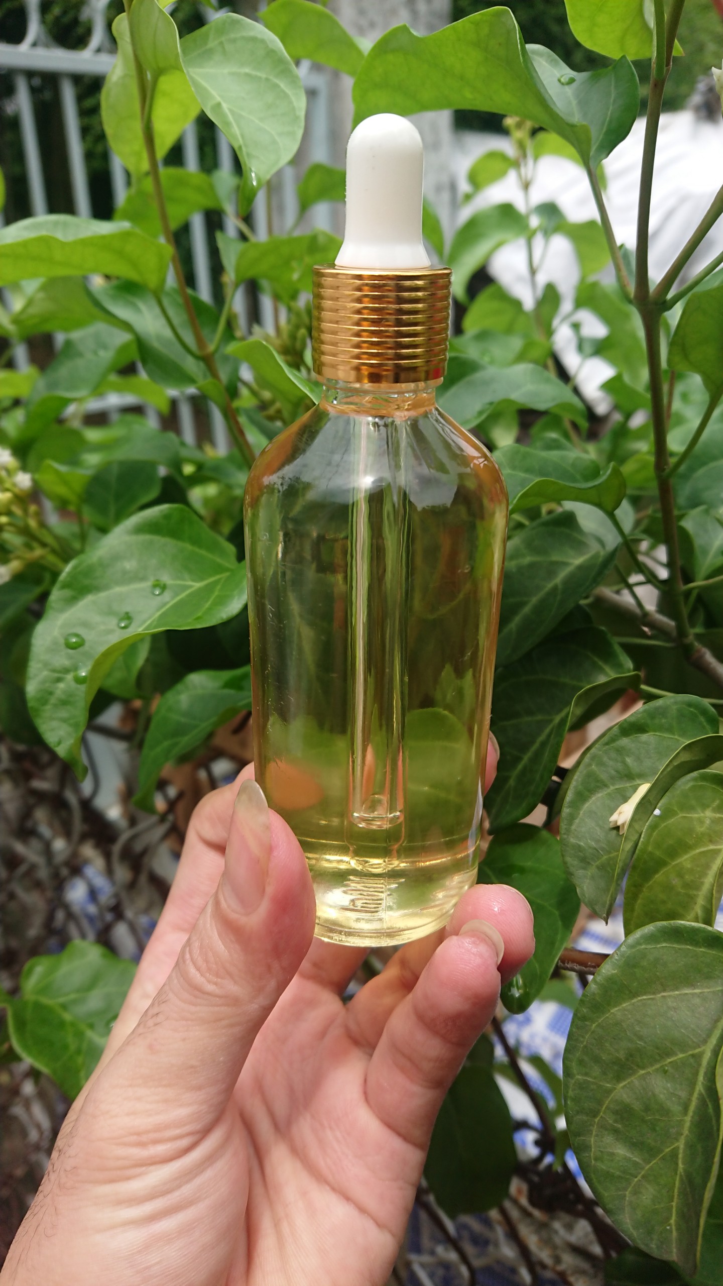 Dầu dừa nguyên chất 100% nhà nấu