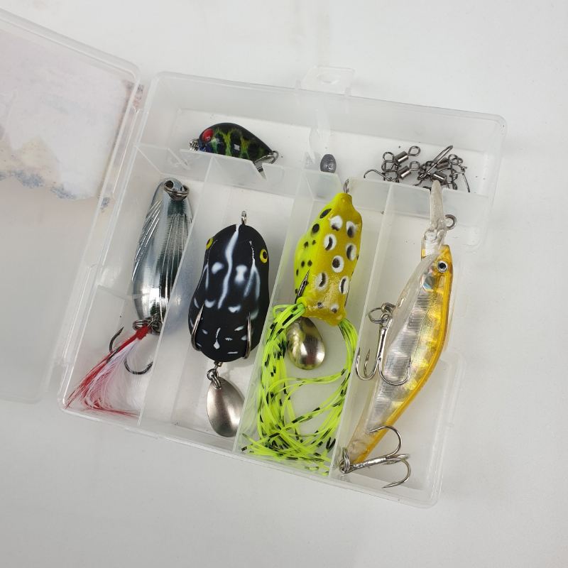 Hộp mồi 5 con siêu nhậy chuyên câu lóc, sộp, thiểu, ngão, chim - mồi câu 01