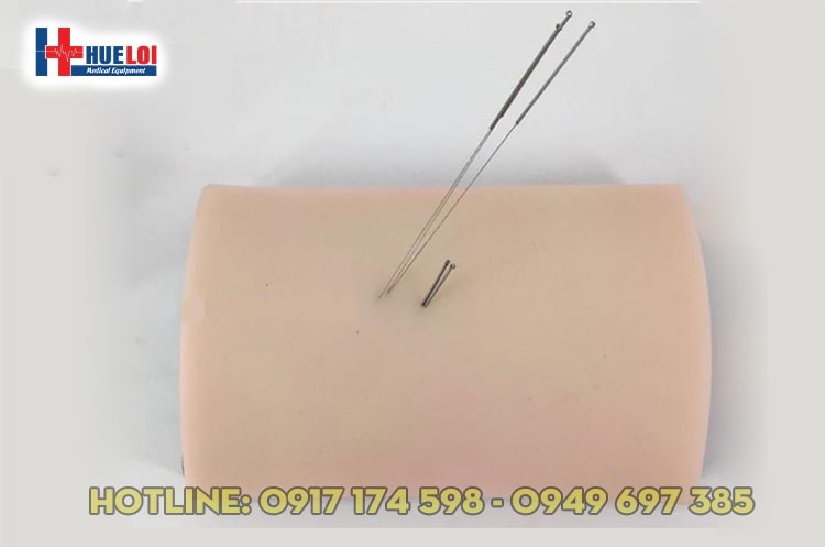 Mô hình da người châm cứu