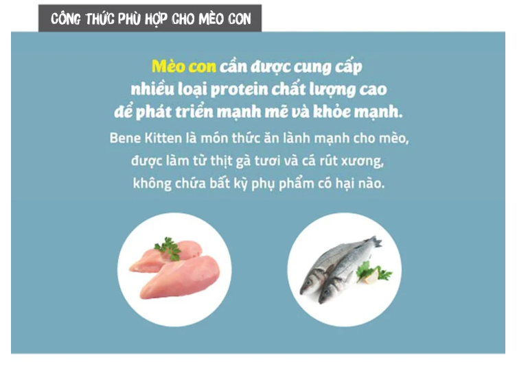 [5KG] Thức ăn cho mèo Natural Core Kitten C1