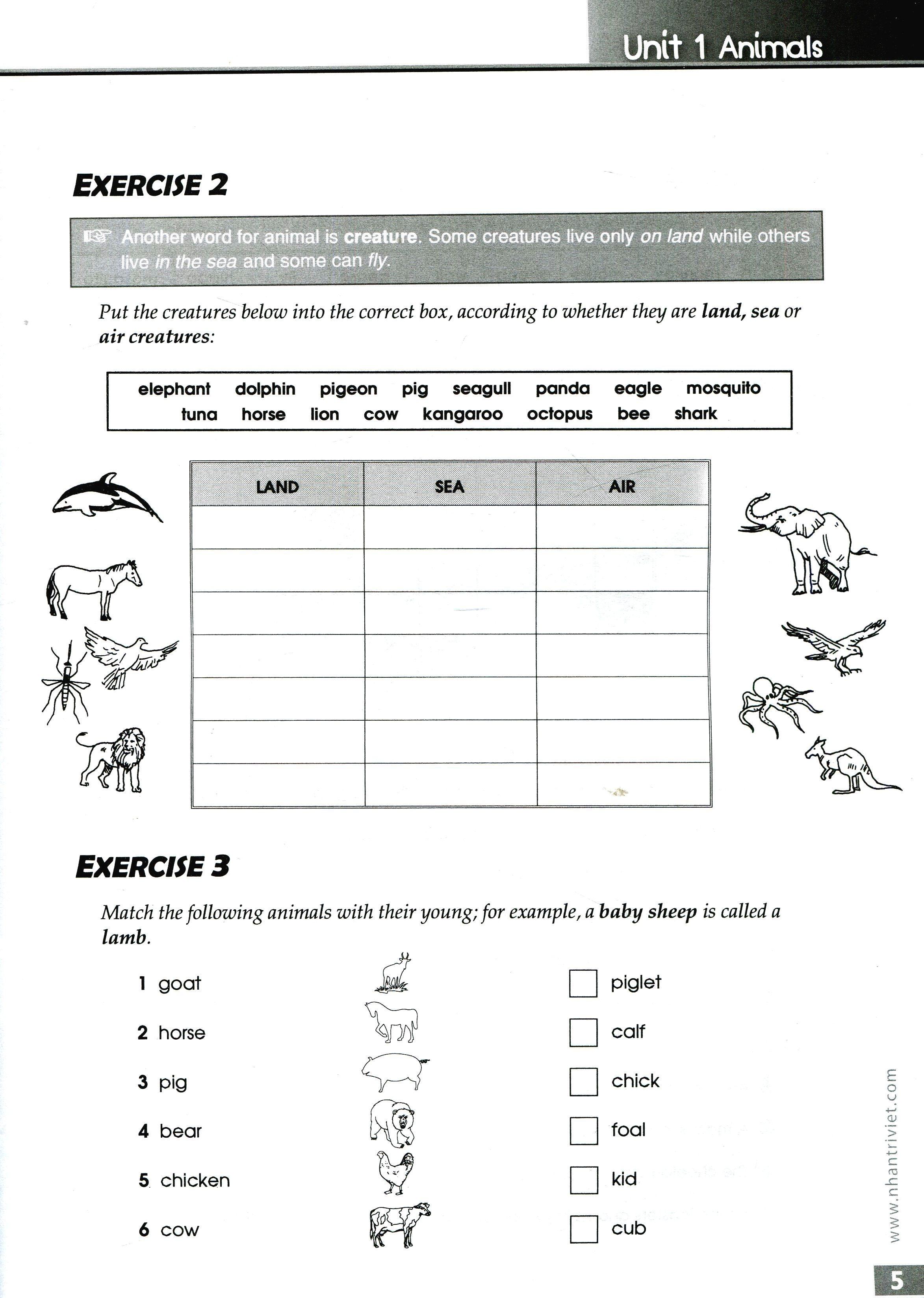 The Vocabulary Files - Pre-Intermediate (CEF Level A2) - Nhiều tác giả (O)