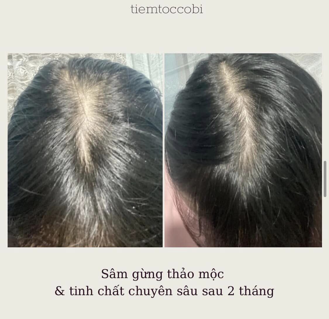 Co Bi's Natural Ginger Shampoo, Co Bi's Herbal Ginger Shampoo