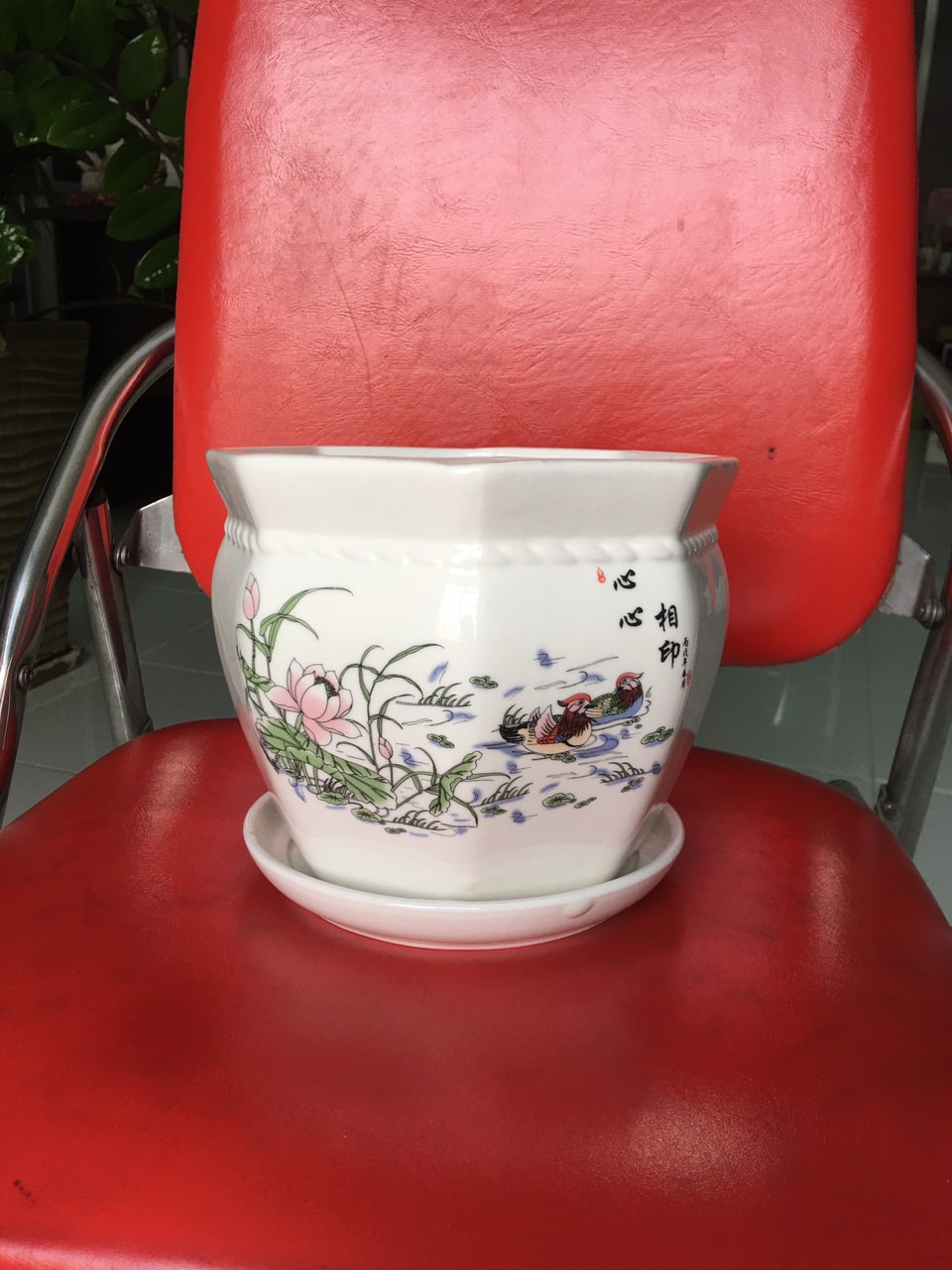 Chậu sứ hình lục giác