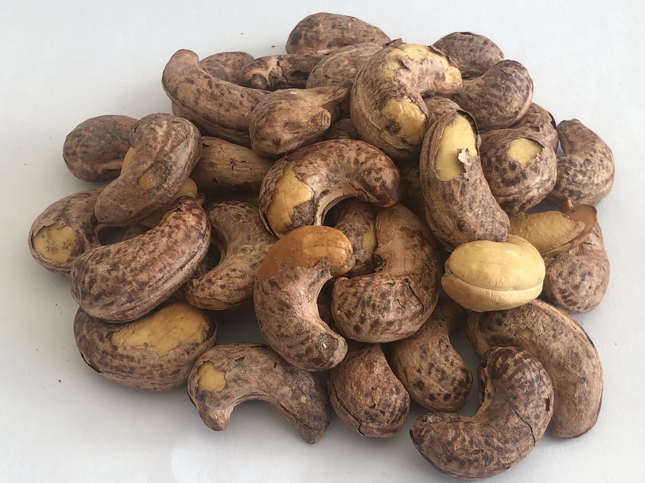 [HOTSALE] [FreeShip] cashew salt pack with coconut shell zip bag 500gr cashew nut