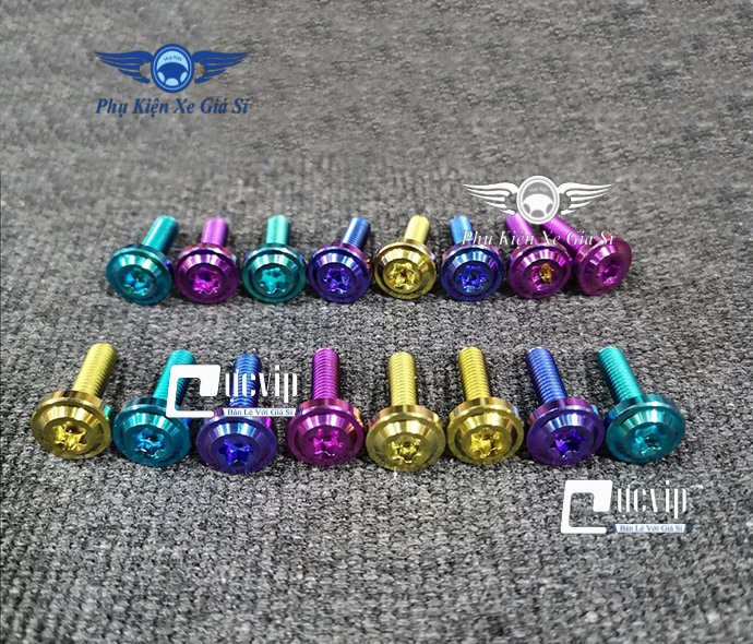 Bộ 2 ốc nắp dầu gr5 titanium 4ly cho mọi loại xe ms2900